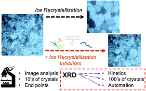 Graphical abstract: X-ray diffraction to probe the kinetics of ice recrystallization inhibition