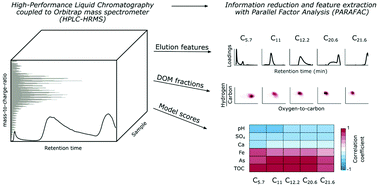 Graphical abstract: Mathematical chromatography deciphers the molecular fingerprints of dissolved organic matter
