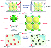 Graphical abstract: An ultrasensitive and selective fluorescent nanosensor based on porphyrinic metal–organic framework nanoparticles for Cu2+ detection