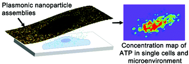 Graphical abstract: Metabolic mapping with plasmonic nanoparticle assemblies