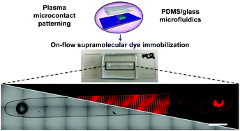 Graphical abstract: COvalent monolayer patterns in Microfluidics by PLasma etching Open Technology – COMPLOT