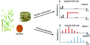 Graphical abstract: Rapid quality control of medicine and food dual purpose plant polysaccharides by matrix assisted laser desorption/ionization mass spectrometry