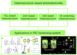 Graphical abstract: Recent progress of heterostructure-based photoelectrodes in photoelectrochemical biosensing: a mini review