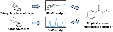 Graphical abstract: Detection of mephedrone and its metabolites in fingerprints from a controlled human administration study by liquid chromatography-tandem mass spectrometry and paper spray-mass spectrometry