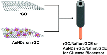 Graphical abstract: Electrochemical biosensing platforms on the basis of reduced graphene oxide and its composites with Au nanodots