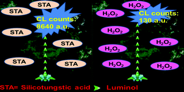 Graphical abstract: Silicotungstic acid as a highly efficient coreactant for luminol chemiluminescence for sensitive detection of uric acid