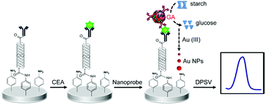 Graphical abstract: Enzymatic deposition of gold nanoparticles at vertically aligned carbon nanotubes for electrochemical stripping analysis and ultrasensitive immunosensing of carcinoembryonic antigen