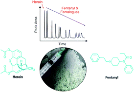Graphical abstract: Analytical determination of heroin, fentanyl and fentalogues using high-performance liquid chromatography with diode array and amperometric detection