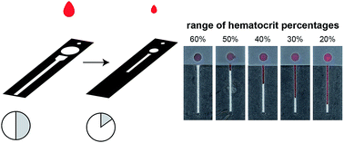 Graphical abstract: Reduction of blood volume required to perform paper-based hematocrit assays guided by device design