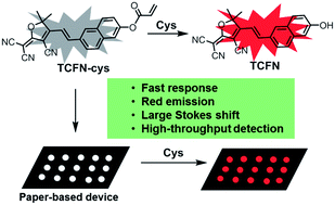 Graphical abstract: A rapid and highly selective paper-based device for high-throughput detection of cysteine with red fluorescence emission and a large Stokes shift