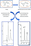 Graphical abstract: Two RP-HPLC assay methods with different chromatographic approaches for the simultaneous estimation of bambuterol and its main degradation product, terbutaline