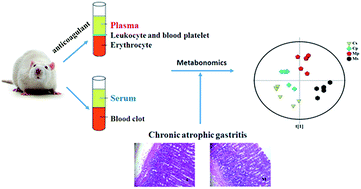 Graphical abstract: A comparison of serum and plasma specimens in NMR-based metabonomics and its application in chronic atrophic gastritis rats