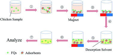 Graphical abstract: Magnetic solid-phase extraction based on g-C3N4/Fe3O4/MoS2 as a magnetic adsorbent for HPLC-UV determination of fluoroquinolones in chicken and eggs