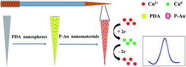 Graphical abstract: A novel stainless steel needle electrode based on porous gold nanomaterials for the determination of copper in seawater