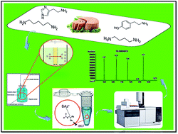 Graphical abstract: Application of a novel electromembrane extraction and microextraction method followed by gas chromatography-mass spectrometry to determine biogenic amines in canned fish