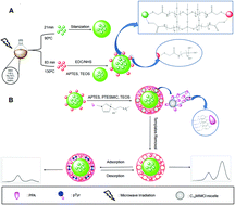 Graphical abstract: Application of ratiometric fluorescence sensor-based microwave-assisted synthesized CdTe quantum dots and mesoporous structured epitope-imprinted polymers for highly efficient determination of tyrosine phosphopeptide