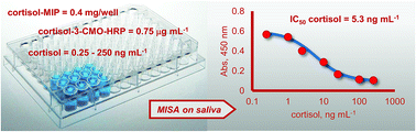 Graphical abstract: Development of a biomimetic enzyme-linked immunosorbent assay based on a molecularly imprinted polymer for the detection of cortisol in human saliva