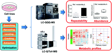 Graphical abstract: Optimization of the sample preparation method for adherent cell metabolomics based on ultra-performance liquid chromatography coupled to mass spectrometry