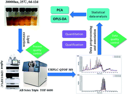 Graphical abstract: Influence of photooxidation on the lipid profile of rapeseed oil using UHPLC-QTOF-MS and multivariate data analysis
