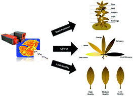 Graphical abstract: Fast inline tobacco classification by near-infrared hyperspectral imaging and support vector machine-discriminant analysis