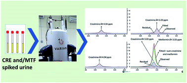 Graphical abstract: Application of quantitative spectral deconvolution 1H NMR (qsd-NMR) in the simultaneous quantitative determination of creatinine and metformin in human urine
