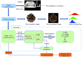 Graphical abstract: Prediction of chemical component contents of the fruit of Xanthium strumarium L. during processing based on a computer vision system combined with a support vector machine