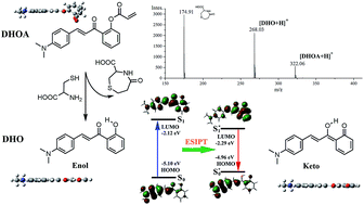 Graphical abstract: Design and application of a fluorescent probe based on ESIPT mechanism for the detection of Cys with o-hydroxyacetophenone structure