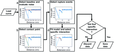 Graphical abstract: ForSDAT: an automated platform for analyzing force spectroscopy measurements