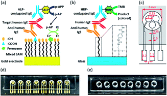Graphical abstract: An electrochemical immunosensing system on patterned electrodes for immunoglobulin E detection