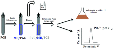 Graphical abstract: Preparation of a novel electrochemical sensor for phosphate detection based on a molybdenum blue modified poly(vinyl chloride) coated pencil graphite electrode