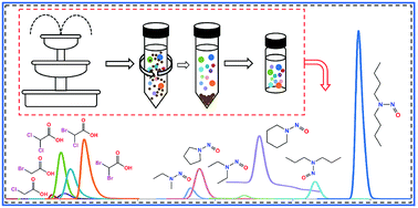 Graphical abstract: Fast analysis of multiple haloacetic acids and nitrosamines in recycled and environmental waters using liquid chromatography-mass spectrometry with positive–negative switching and multiple reaction monitoring