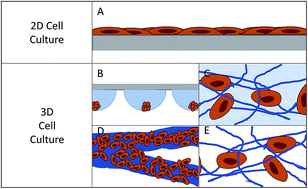 Graphical abstract: Review of 3D cell culture with analysis in microfluidic systems