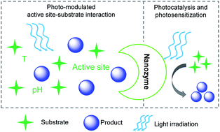 Graphical abstract: Photo-modulated nanozymes for biosensing and biomedical applications