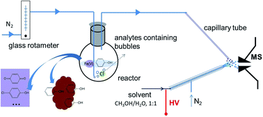 Graphical abstract: Determination of phenol degradation in chloride ion rich water by ferrate using a chromatographic method in combination with on-line mass spectrometry analysis