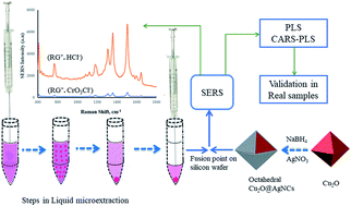 Graphical abstract: An octahedral Cu2O@AgNCs substrate in liquid-microextraction coupled chemometric algorithms for SERS sensing of chromium(iii & vi) species