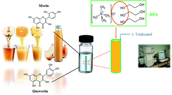 Graphical abstract: The application of three-phase solvent bar microextraction based on a deep eutectic solvent coupled with high-performance liquid chromatography for the determination of flavonoids from vegetable and fruit juice samples