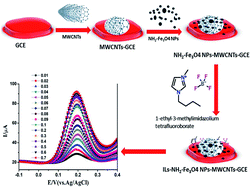 Graphical abstract: An amino functionalized magnetite nanoparticle and ionic liquid based electrochemical sensor for the detection of acetaminophen