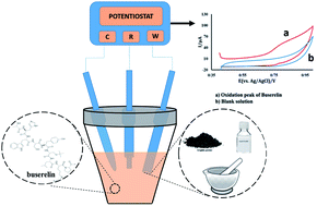 Graphical abstract: An electrochemical sensor based on a carbon paste electrode for the determination of buserelin
