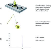 Graphical abstract: Pre-lab proteolysis for dried serum spots – a paper-based sampling concept targeting low abundant biomarkers
