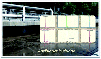 Graphical abstract: Simultaneous determination of multiclass antibiotics in sewage sludge based on QuEChERS extraction and liquid chromatography-tandem mass spectrometry