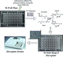 Graphical abstract: Development of disk-shaped monolithic microplates for detecting multiple mycotoxins