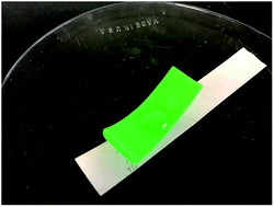 Graphical abstract: HPLC detection of organic gunshot residues collected with silicone wristbands