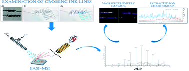 Graphical abstract: Forensic determination of crossing lines involving stamp and pen inks by mass spectrometry imaging