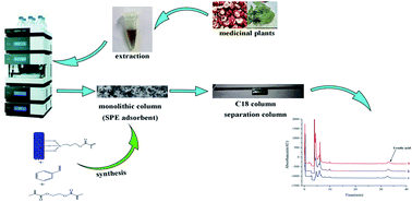 Graphical abstract: A functionalized multi-walled carbon nanotube-based composite monolith as a solid-phase extraction adsorbent for on-line purification and enrichment of ursolic acid in medicinal plants