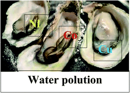 Graphical abstract: Emulsification solidified floating organic drop microextraction assisted by ultrasound for the determination of nickel, cobalt and copper in oyster and fish samples
