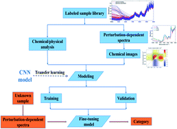 Graphical abstract: A novel deep learning-based chemical image identification method of infrared spectroscopy using external perturbation