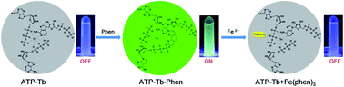 Graphical abstract: Luminescent nucleotide/Tb3+ coordination polymer for Fe(ii) detection in human serum