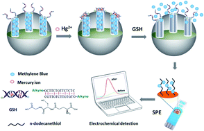 Graphical abstract: Applications of electrochemical sensors and biosensors based on modified screen-printed electrodes: a review