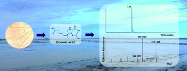 Graphical abstract: Ultra-trace determination of domoic acid in the Ebro Delta estuary by SPE-HILIC-HRMS