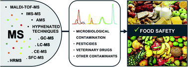 Graphical abstract: Mass spectrometry approaches to ensure food safety